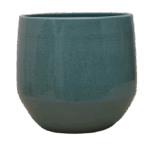 DSC_0559-removebg-preview